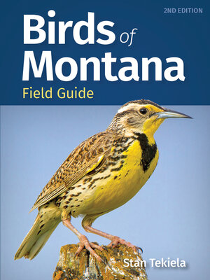 cover image of Birds of Montana Field Guide